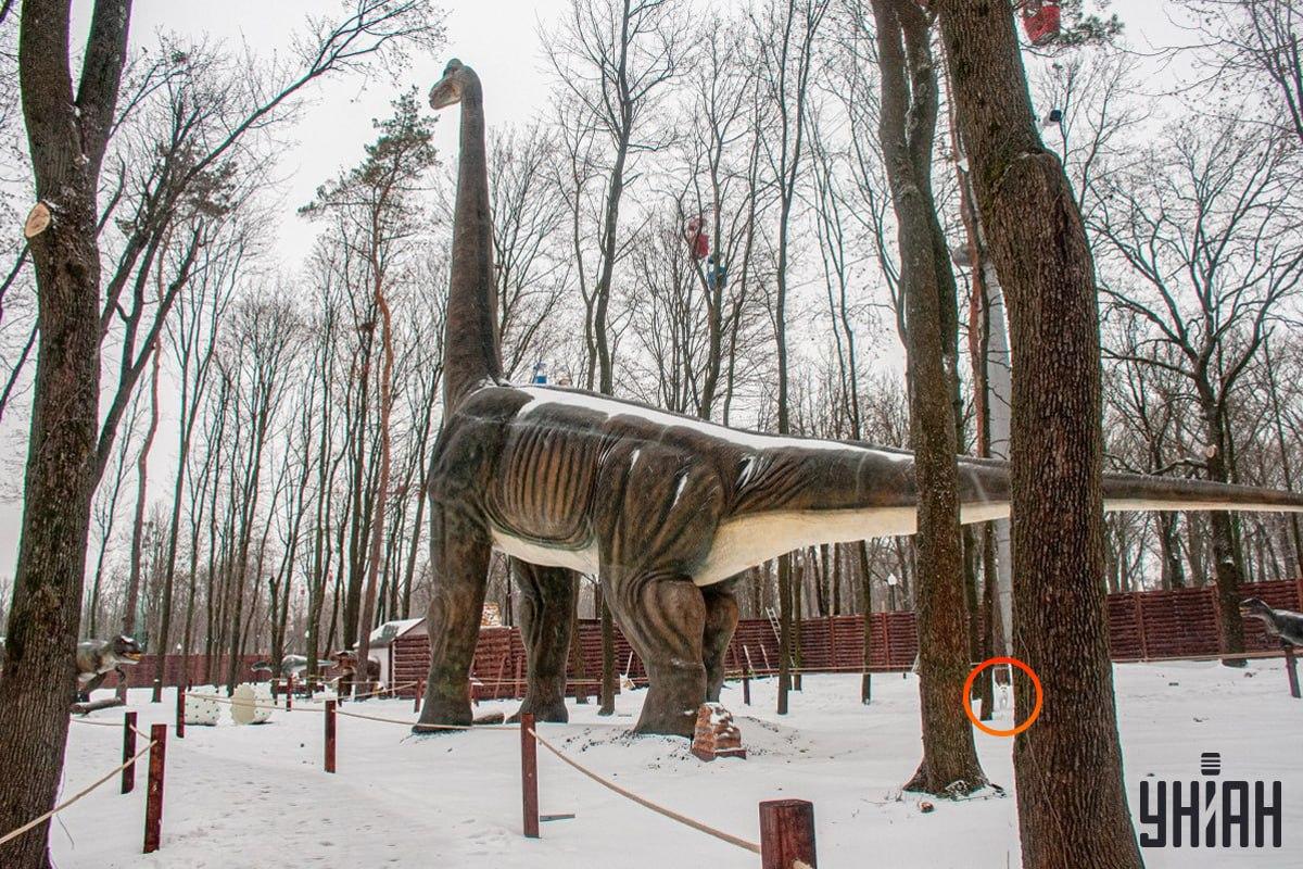 O cão estava perto do canto inferior esquerdo da fotografia / colagem Moje