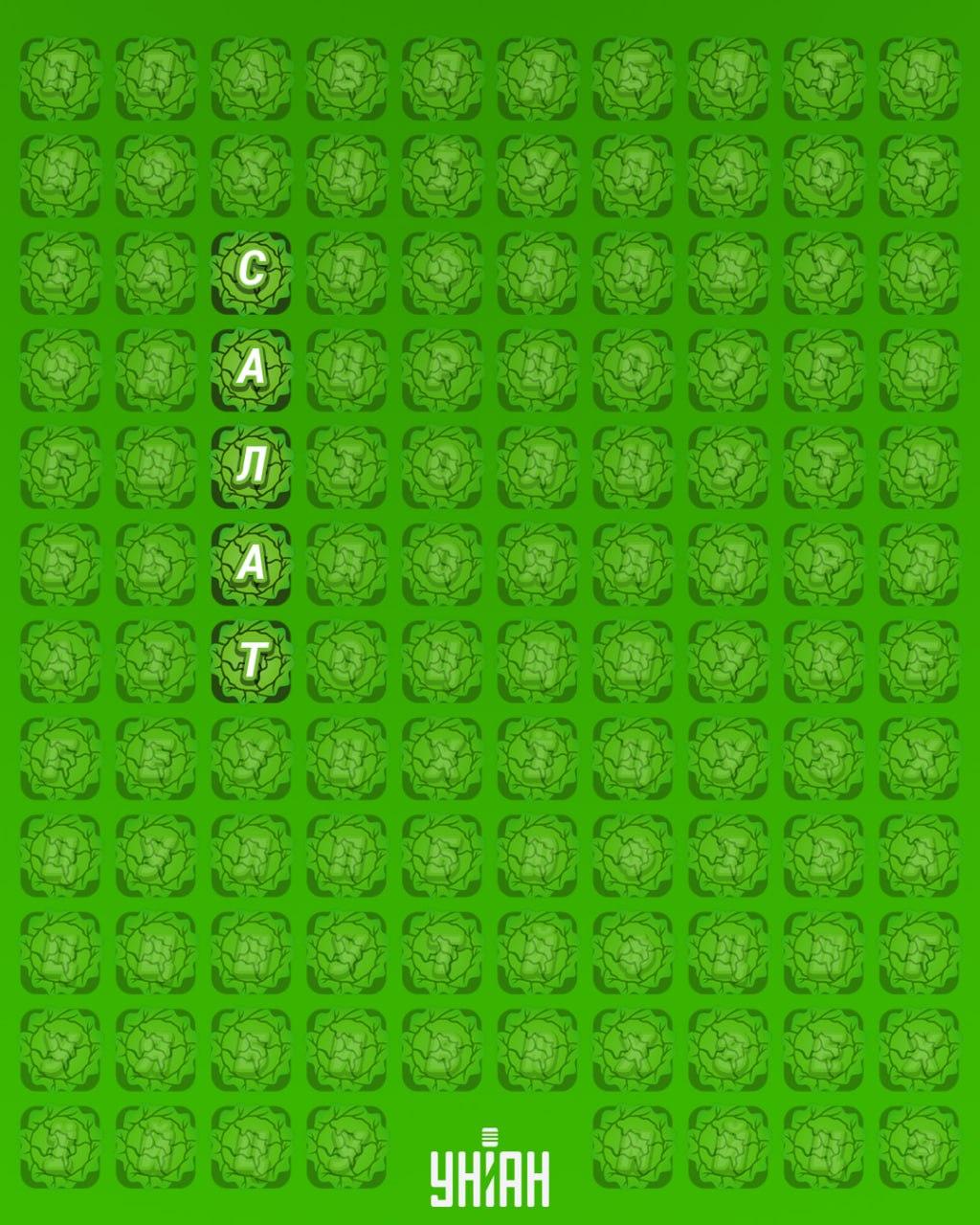 98% das pessoas não conseguem encontrar a palavra 