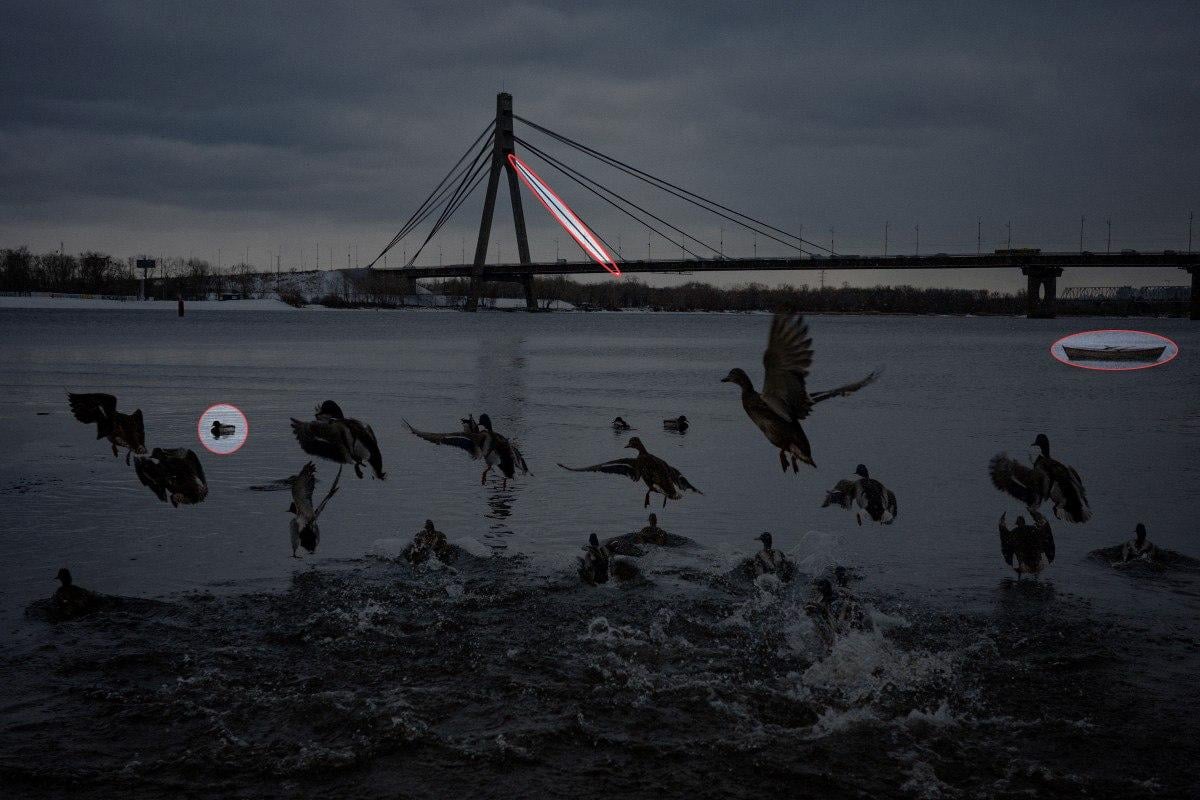 Encontrar 3 diferenças numa fotografia com patos em 10 segundos: um fantástico jogo de puzzle Encontra 3 diferenças na foto com patos em 10 segundos: puzzle fantástico