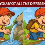 Teste de QI: encontrar 3 diferenças na imagem do rapaz