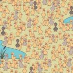 Um puzzle divertido e cheio de recursos: tem de encontrar